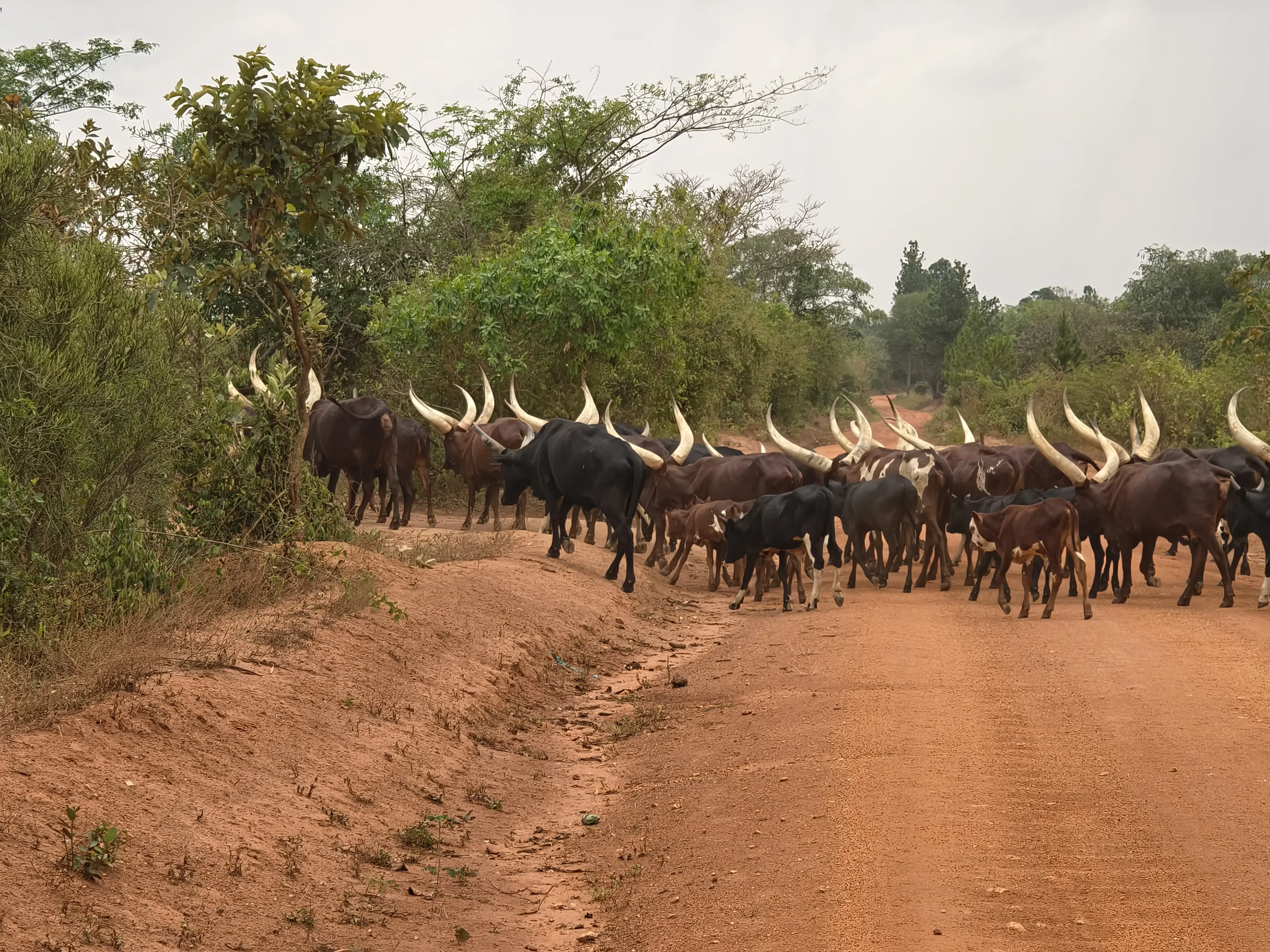 IMG 20260209 133511078 HDR