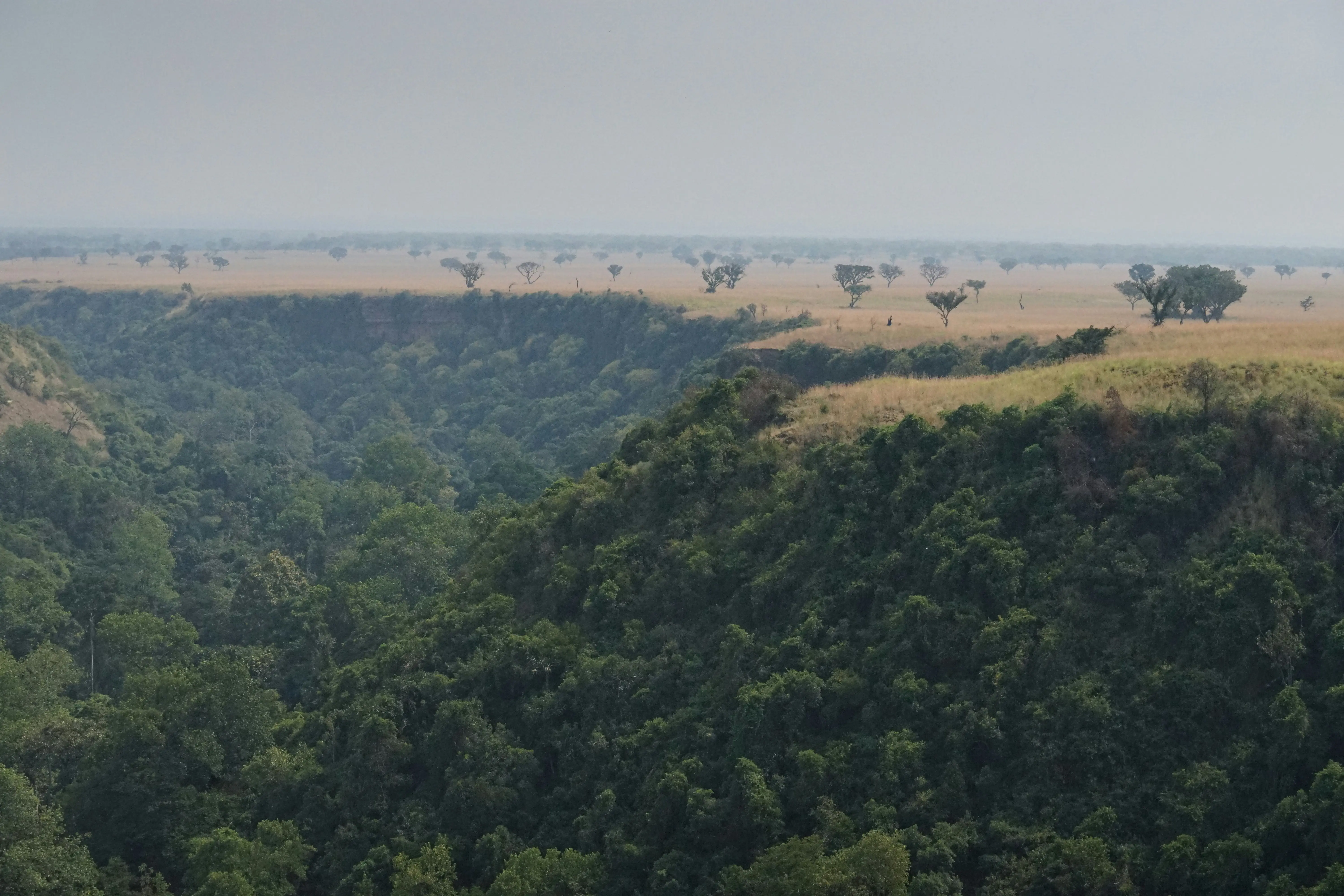 Julie Ricard Ppkrf7 Iyvo Unsplash