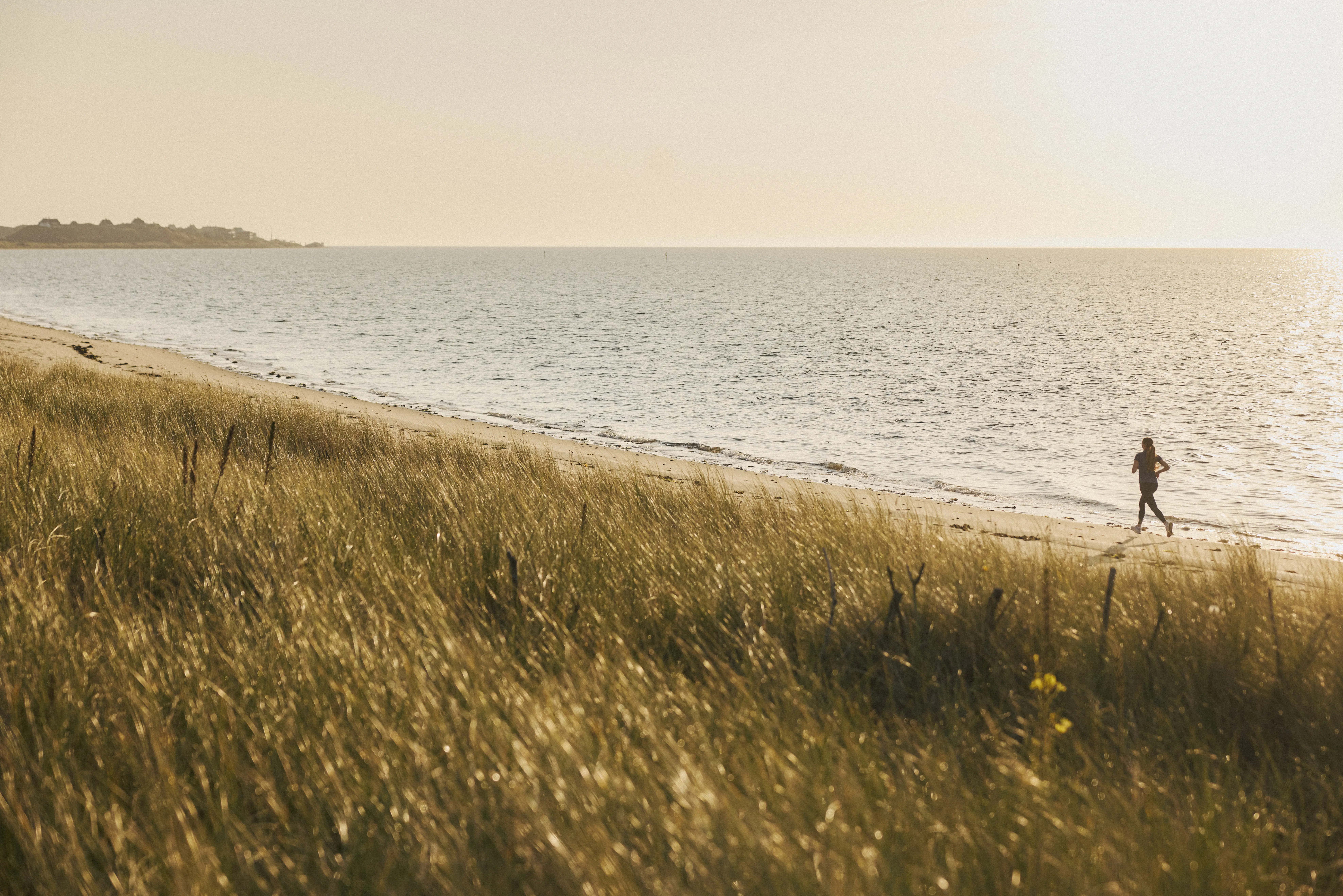 Joggerin Am Wattenmeer