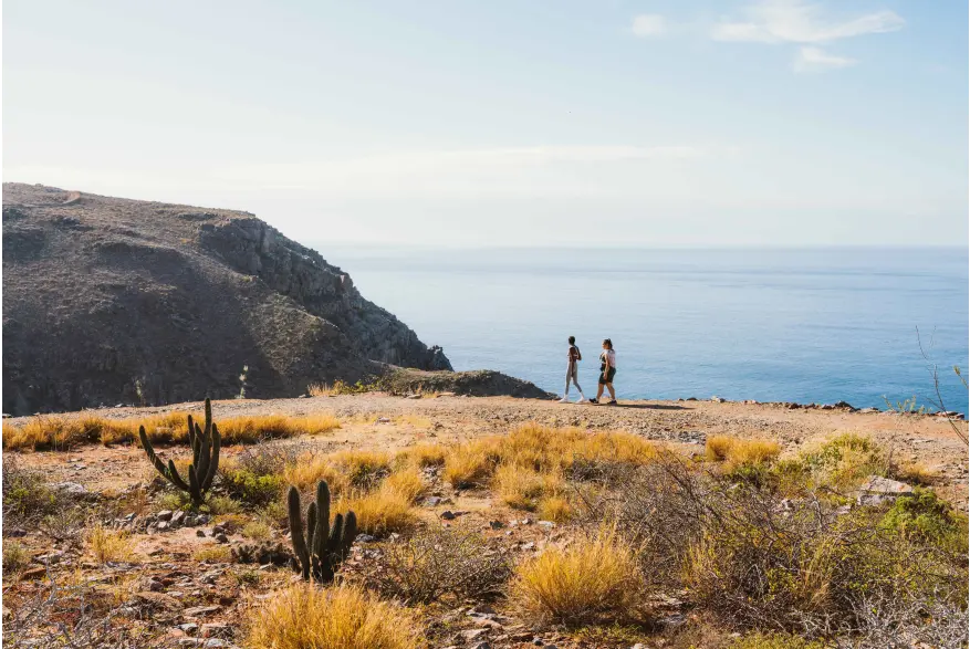 Copia De Punta Lobos Hike Friends 22B86117 51Af 44A5 A448 3Cdcada99e7d