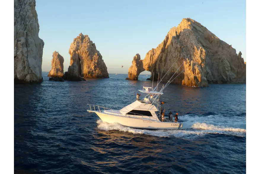 Fishing 8002Ea95 57Ce 436F A59c 670A9bad3634