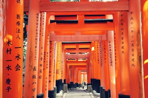 Polyglott Special- und Gruppenreisen Japan