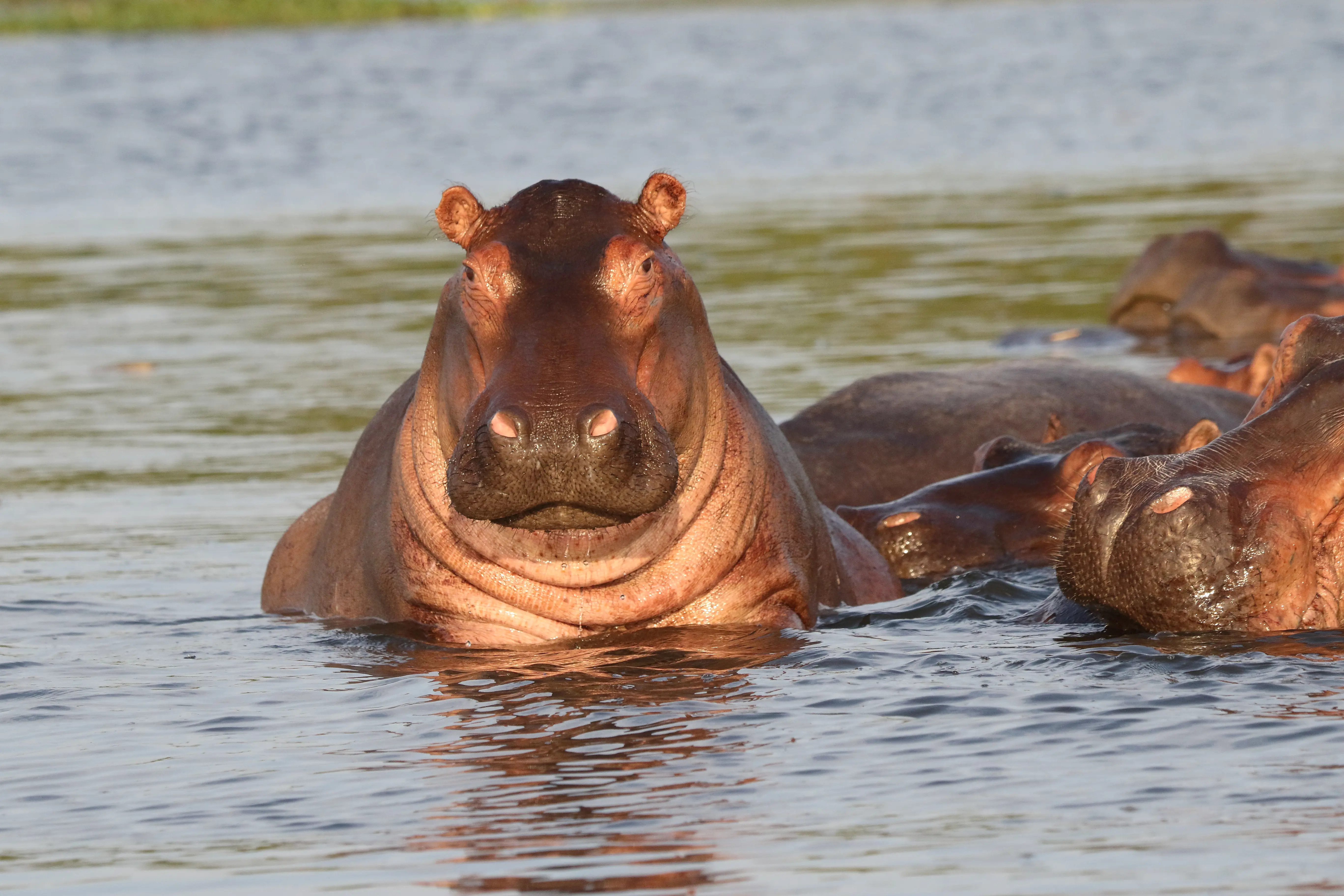 2026 02 1210 Murchison