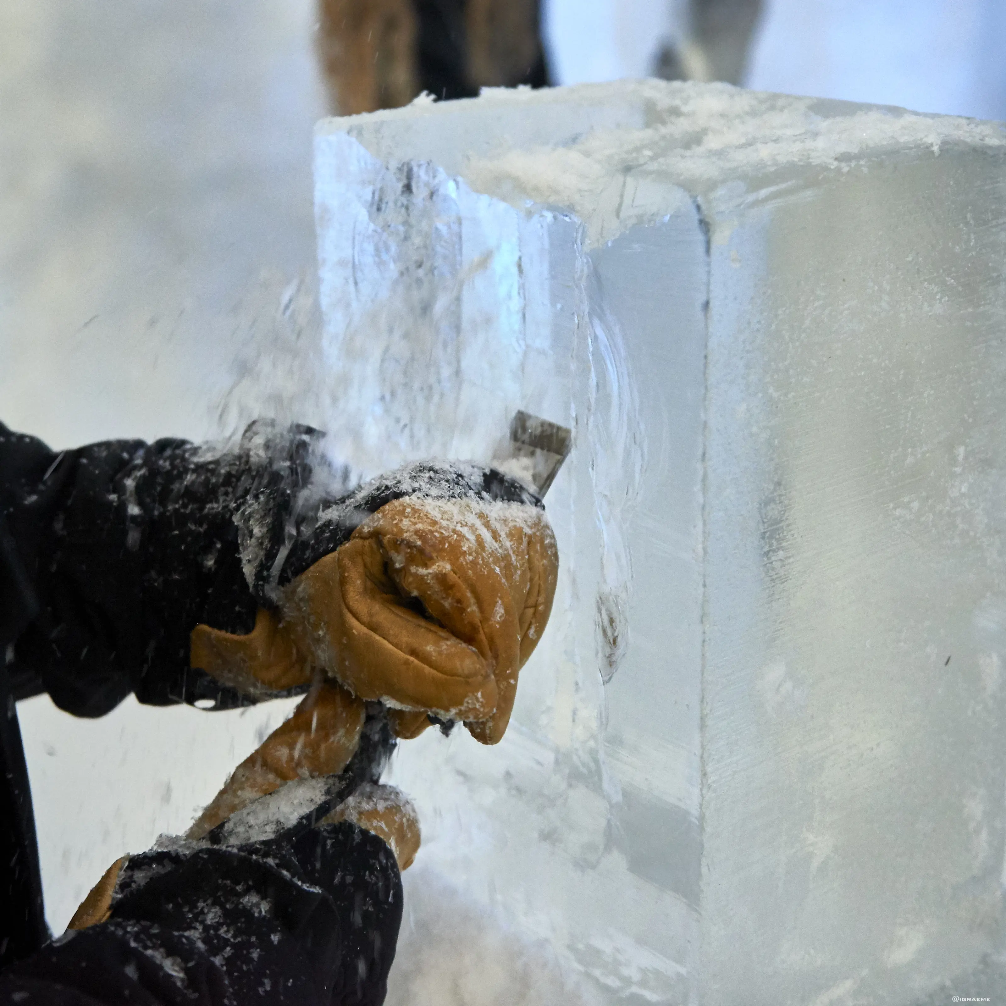 GJR 8155Graemerichardson2019