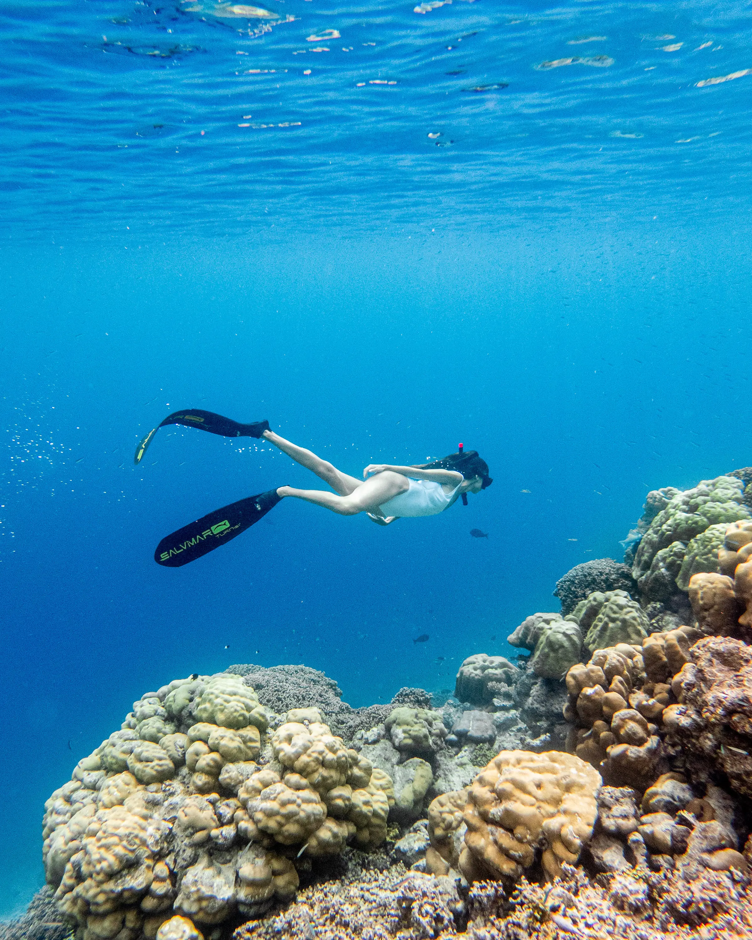 Baglioni Resort Maldive Experience Snorkellng 11
