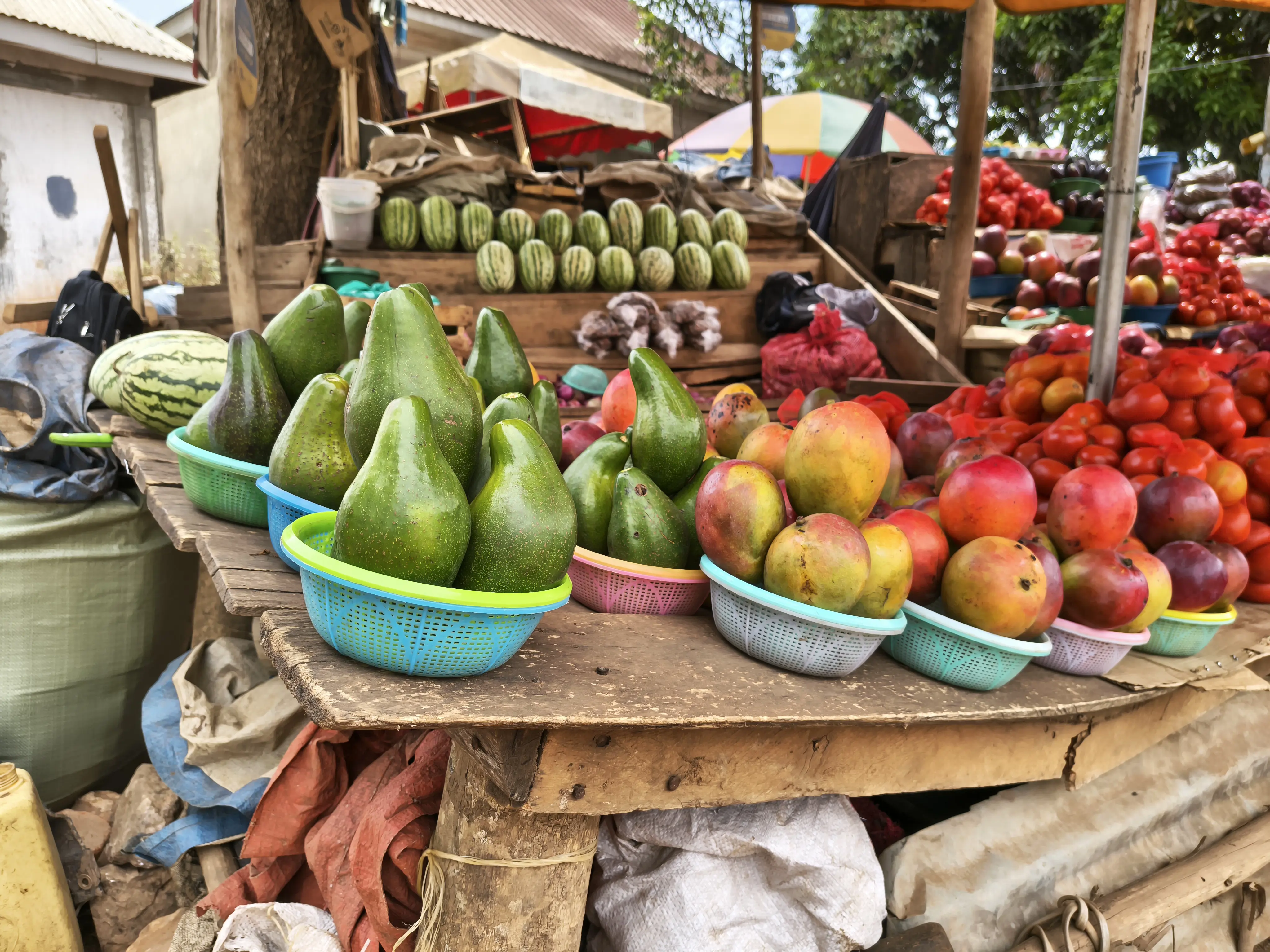 IMG 20260209 115159006 HDR