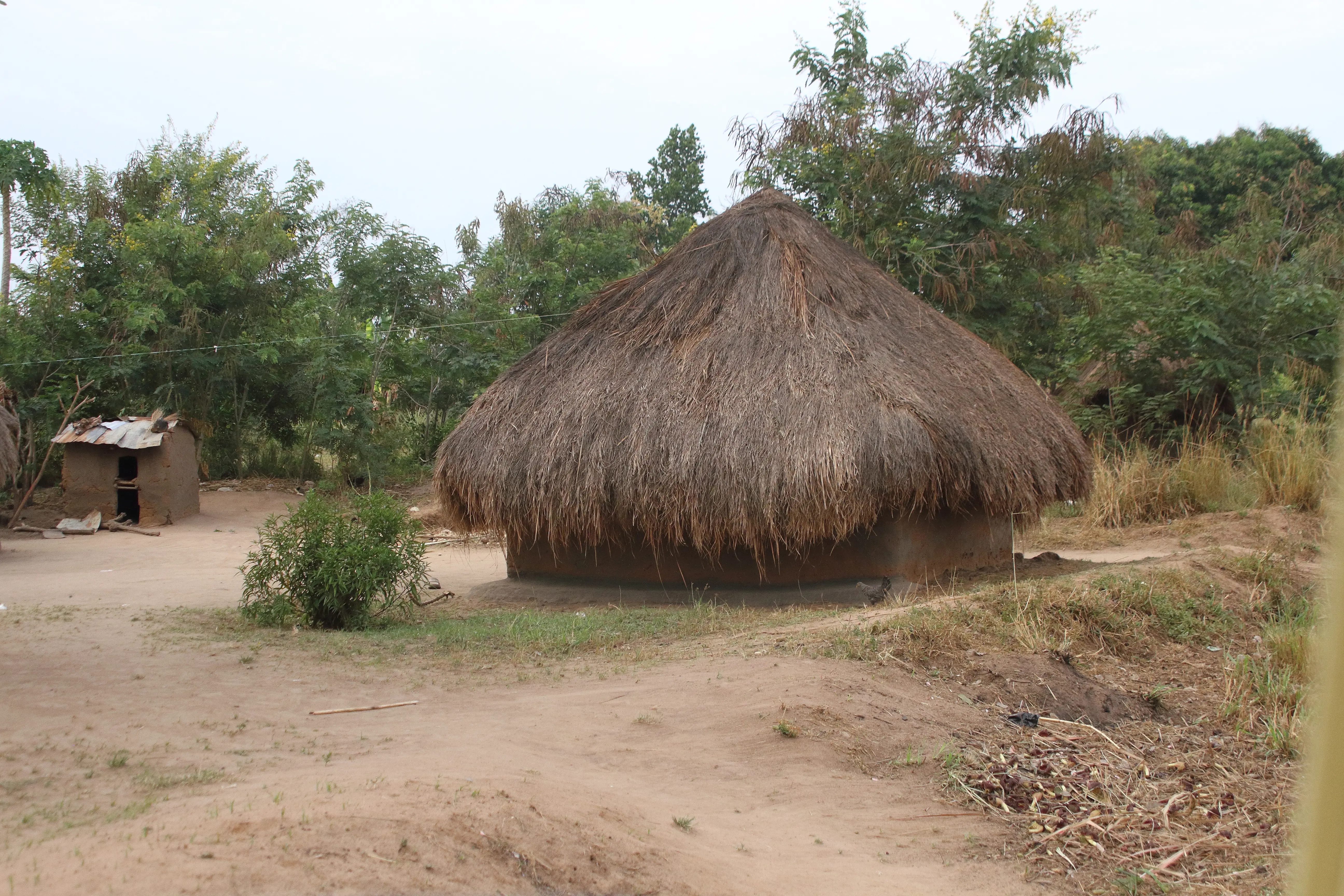 2026 02 131 Murchison