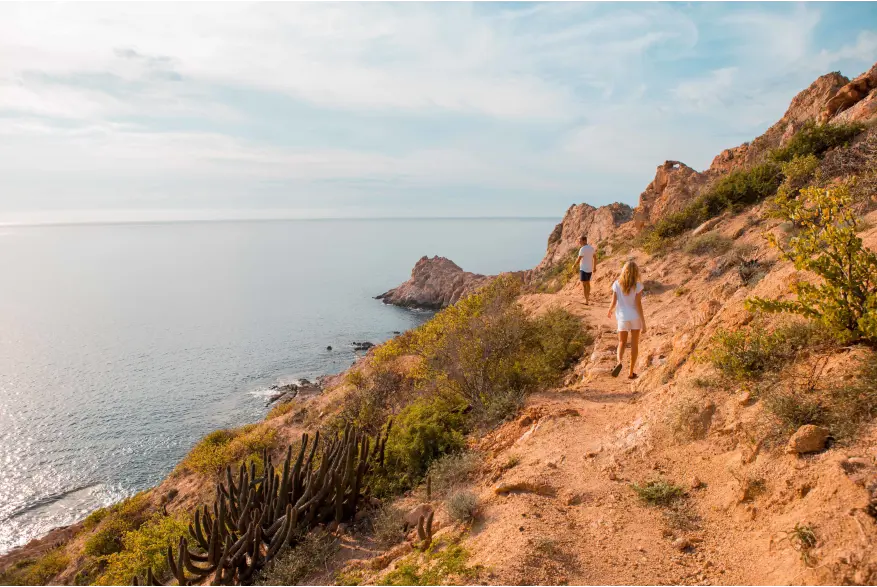 Couple Walking Mountain E66ee191 5964 40D5 93B8 Da69790a3c87
