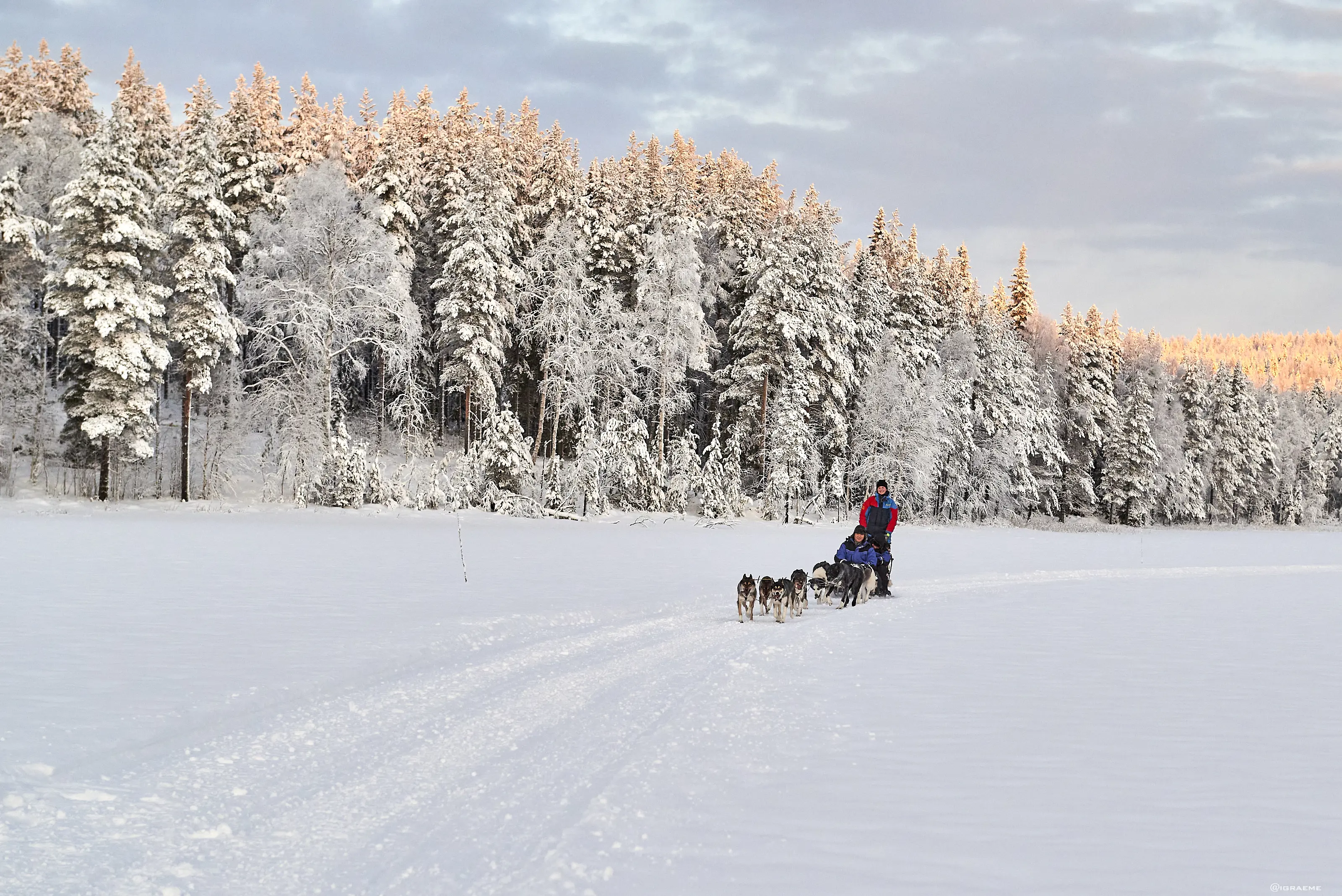 GJR 9949Graemerichardson2019